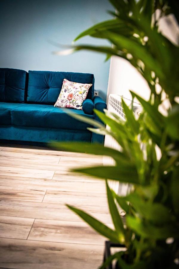 Sib Jo Central Apartments Sibiu Eksteriør billede